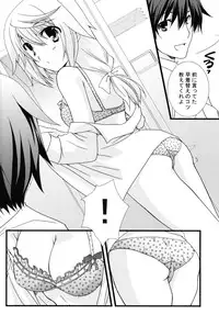 (C79) [CHAGASHI SAIBAN (Yamabuki Mook)] Kigae Chuuihou! (Infinite Stratos)