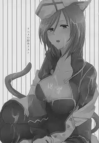 (C83) [allo (Nagashiro Rouge)] Linith no Yagai Test (Mahou Shoujo Lyrical Nanoha)