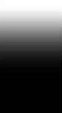 姐妹丼饭 Sister rice Chinese Rsiky