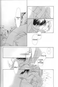 [Ronno & Kalus (Takada Bambi)] Hermaphrodite 4 (Fullmetal Alchemist) [English] [Secret Garden]