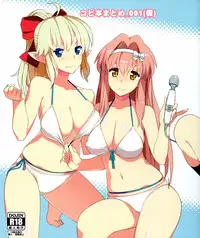 (COMIC1☆9) [Oojinushi (Ryuuta)] Copy Hon Matome _ 001 (Kari) (Various)