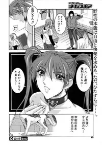 COMIC Megastore 2005-08