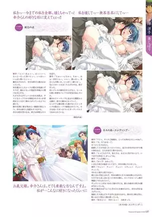 Alice soft "Tsuma wife series" Art Works