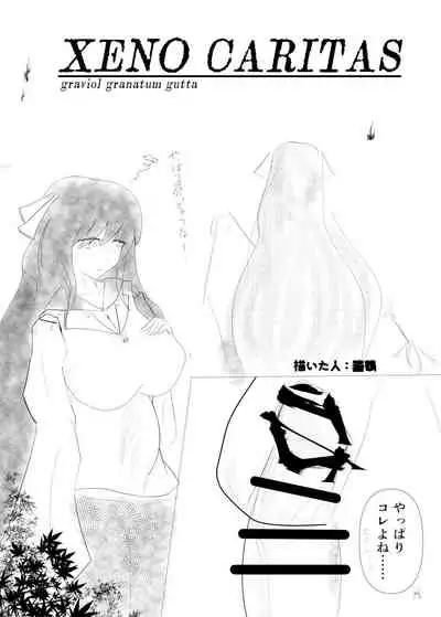 [Nuigurumiya-san (Various)] Touhou Futanari Kyodai Seishi Goudoushi (Touhou Project) [Digital]