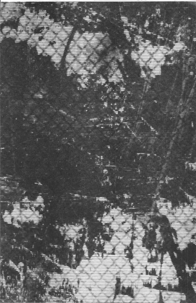 2D Comic Magazine Keimusho de Aegu Onna-tachi