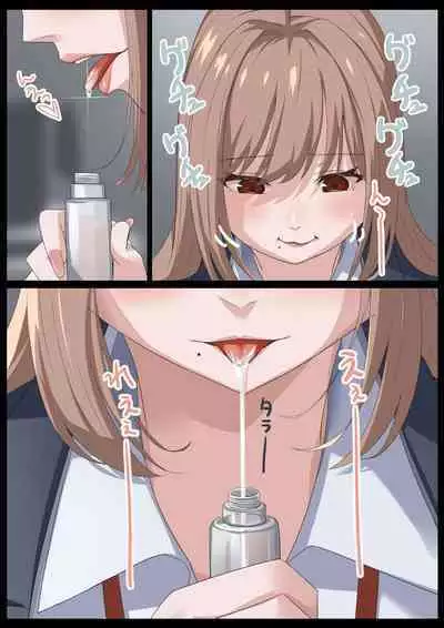 Birei sama no tsuba seme