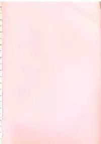 [Kazusa Shima] Shikkari! Choppiri