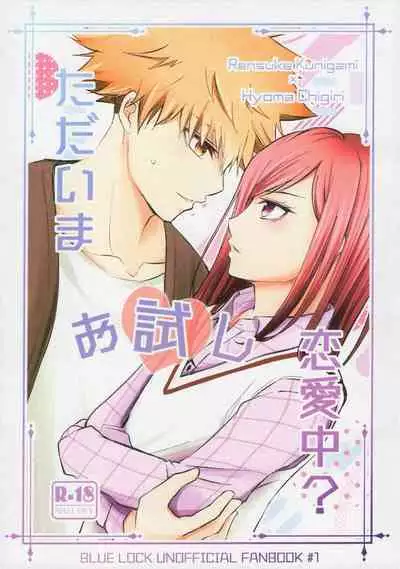 Tadaima o tameshi renai-chuu?