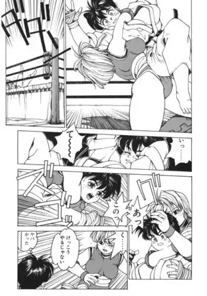 Punky Knight ~Pinky Phaia~