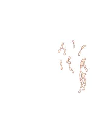 Yuuka-Chirabatta Daiyoukai no Kakera-