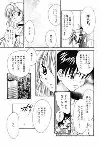 [Setsuna] Hoshikuzu Sakura | STAR DUST CHERRY TREE.