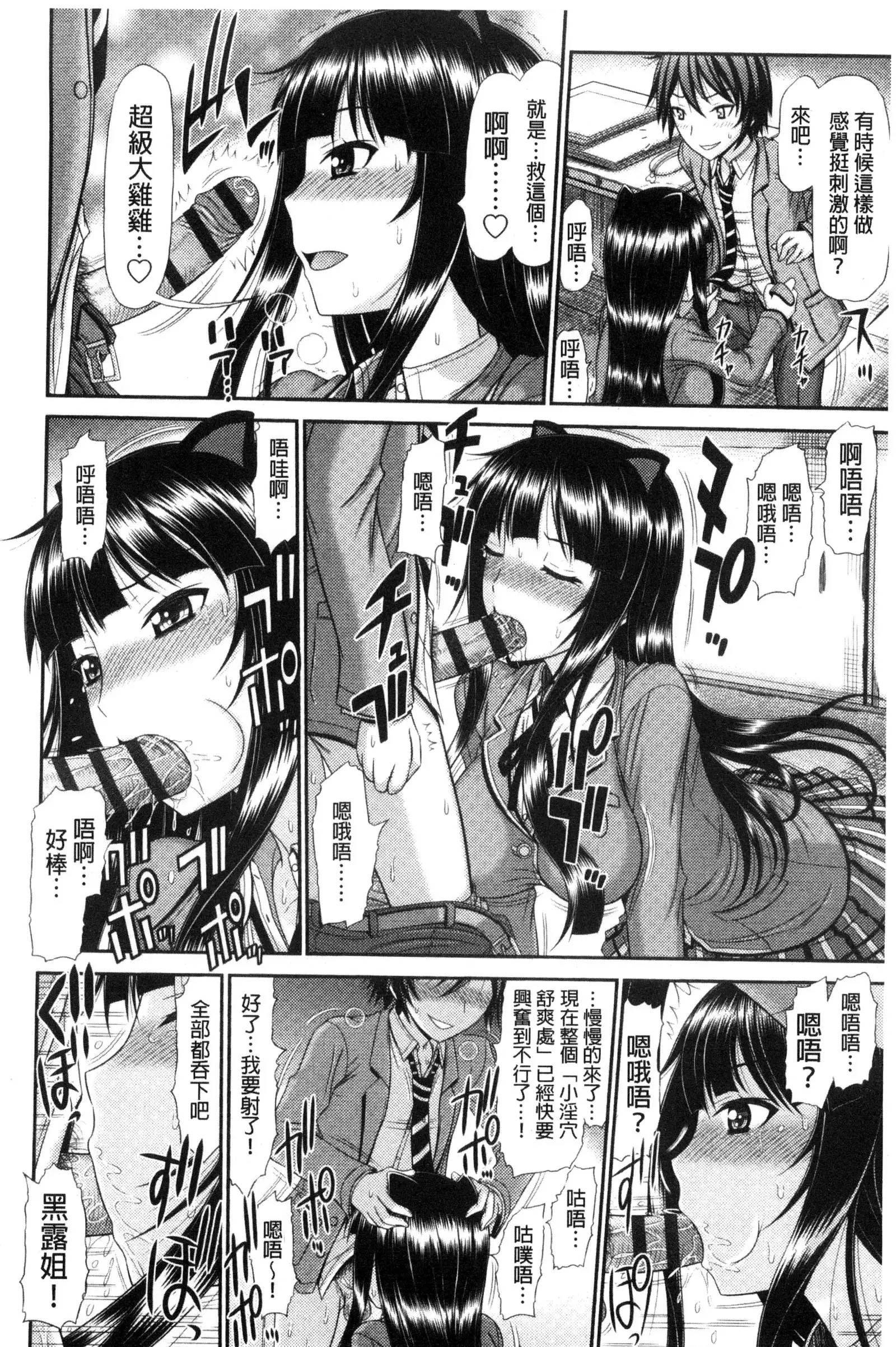 Shimai Seikou Inshuu