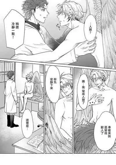 Fukurou no Koiwazurai | 猫头鹰的相思病