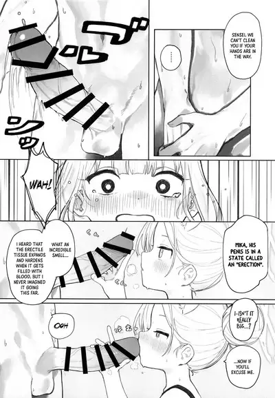 Eden Joyaku no Atoshimatsu | Eden Treaty Remedial Measures