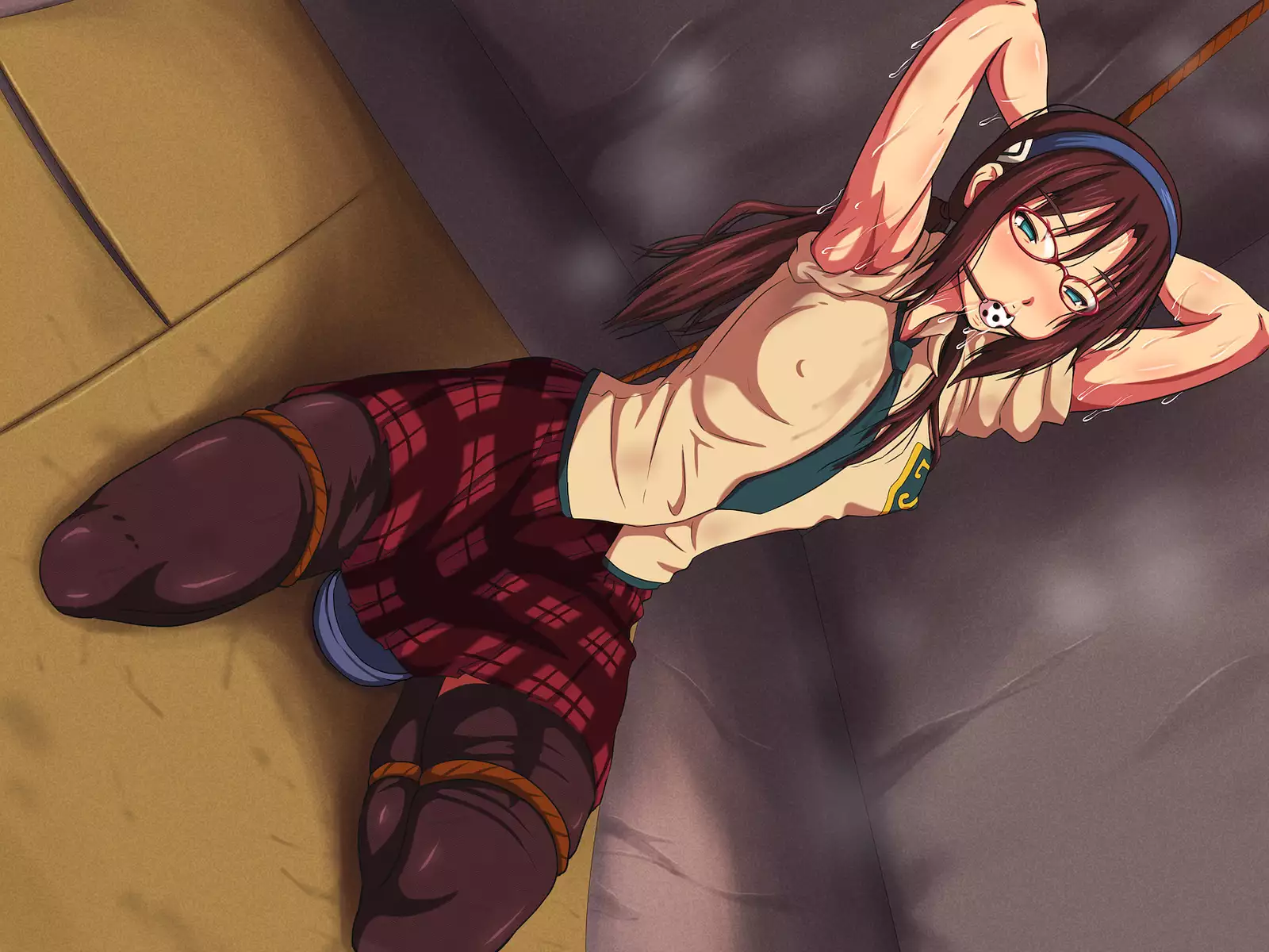 The Human Penetration Project