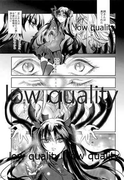 (C91) [Oyasuminasai (Koko)] Sacrament (Fate/stay night)