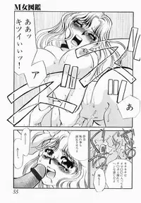 [Umino Yayoi] Initiative -Shudouken-