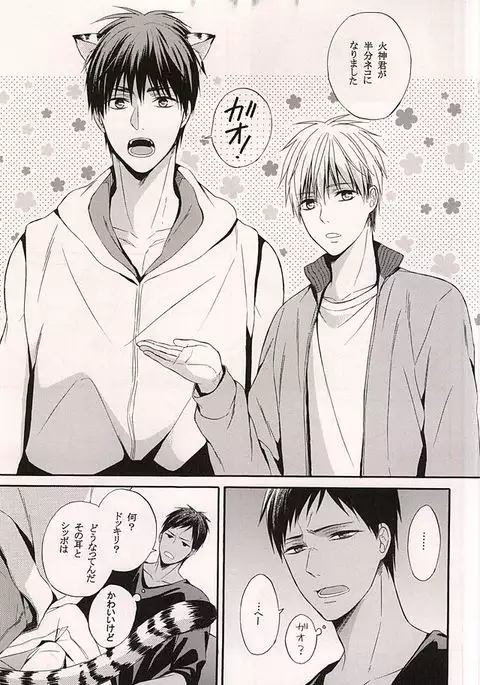 Ore no Kagami ga Konna ni Kawaii Wake ga Nai