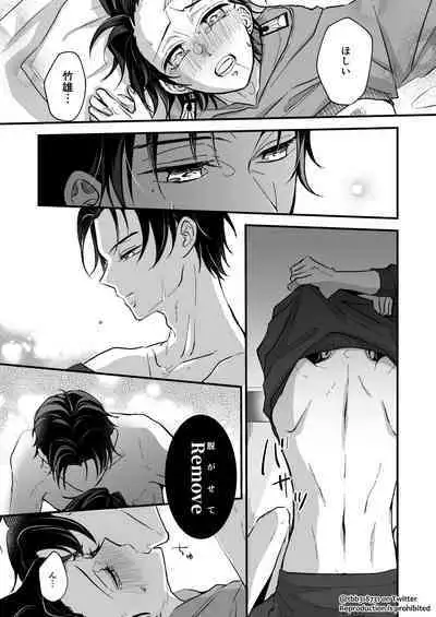 TakeTan Tamasudare ④