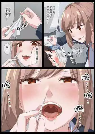 Birei sama no tsuba seme