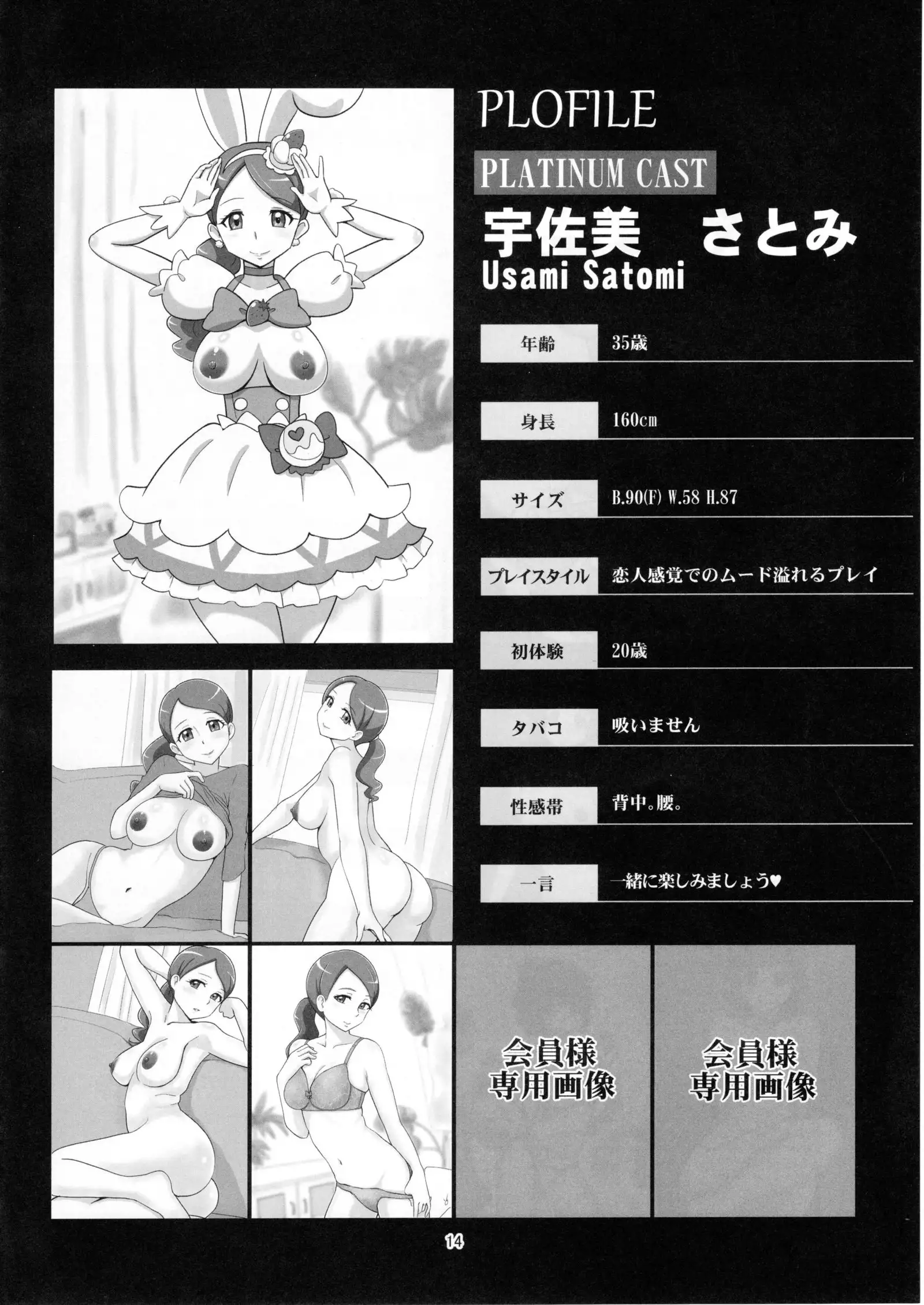 Mess Zylinder 11 PreCure Maman no Iru Chou Koukyuu Fuzokuten