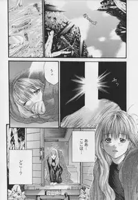 [Miyazaki Maya] Haitoku no Bara ~ ROSE ~