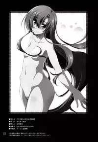 (SC59) [Girigiri Nijiiro (Kamino Ryu-ya)] Nan nano yo! (Hayate no Gotoku!)