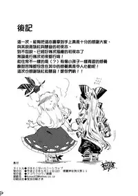 (Reitaisai 11) [Akou Kurou (Komac)] Dekisokonai Honey Syrup (Touhou Project) [Chinese] [大友同好会]