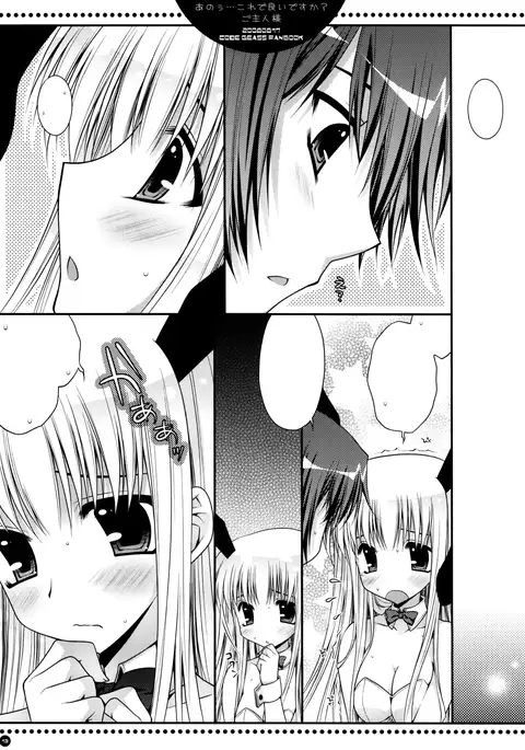 Anou...Korede Iidesuka? Goshujinsama