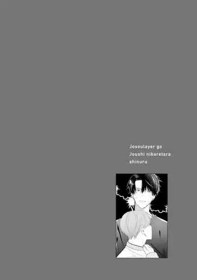 JosouLayer ga Joushi ni Baretara Shinuru | 女装马甲被上司扒掉的话还不如死了算了 Ch. 2-5