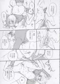 (SC24) [Badon (Kida, Kine)] Inheritor (Fate/stay night)