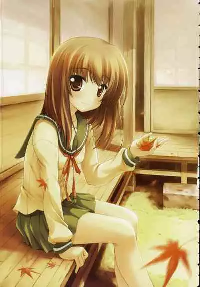 Shin Ringetsu Visual Fanbook