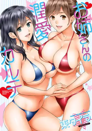 [Azuma Taira] Onee-san no Junai Karute Ch. 1-6 [English] [Lazarus H] [Digital]