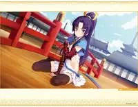 Eiyuu＊Senki GOLD Visual Fanbook