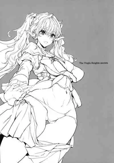 Otome Kishi no Himegoto