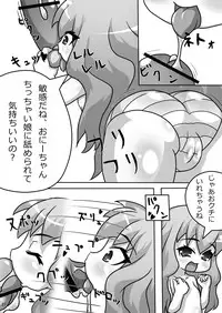 (C76) [A Minor (Katsuki)] Bitch no Tsukaima (Zero no Tsukaima)