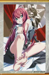 Dies irae Visual Fanbook - White Book