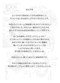 [Nijigen Koubou (Rioemon)] Koneko to Asobo!! (Touhou Project) [Chinese] [落莲汉化组] [Digital]