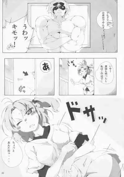 Pawaplus H 2012 Fuyu