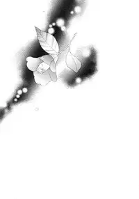 (SPARK7) [Fukagawa (Tsuzurao Kaya)] Corolla (Drifters)