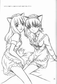 (CR21) [.30-06 (Tsutsumi Akari)] MAiDNESS