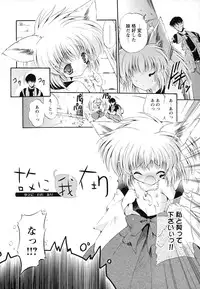 [Noraneko Nagaya] Horoama Omocha Hako