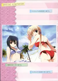 Primitive Link Visual Fanbook