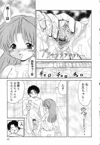 [Anthology] Pure Petit Vol.17