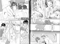 B-BOY Phoenix 15 Shitsuji Tokushū