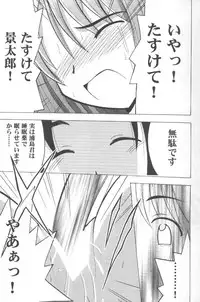 [CRIMSON] Higyaku No Narusekawa 2 (Love Hina)