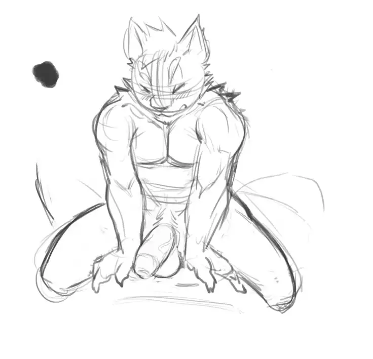 Nekojishi December 2017 Package Reward + Extras