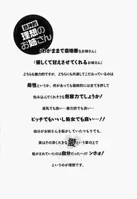 [Azuma Tesshin] Boku no Kawaii Oneesan [English] [Tigoris]