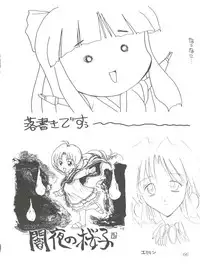 (C48) [Akahira Kirin (Akahira Kirin)] Bi VI (Macross 7)