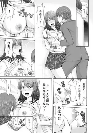 "Koko Ijirareru no Sukidatta yona?" Rinjin wa, Hitozuma no Moto SeFri